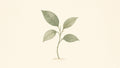 Single Stem — Botanical Desk
